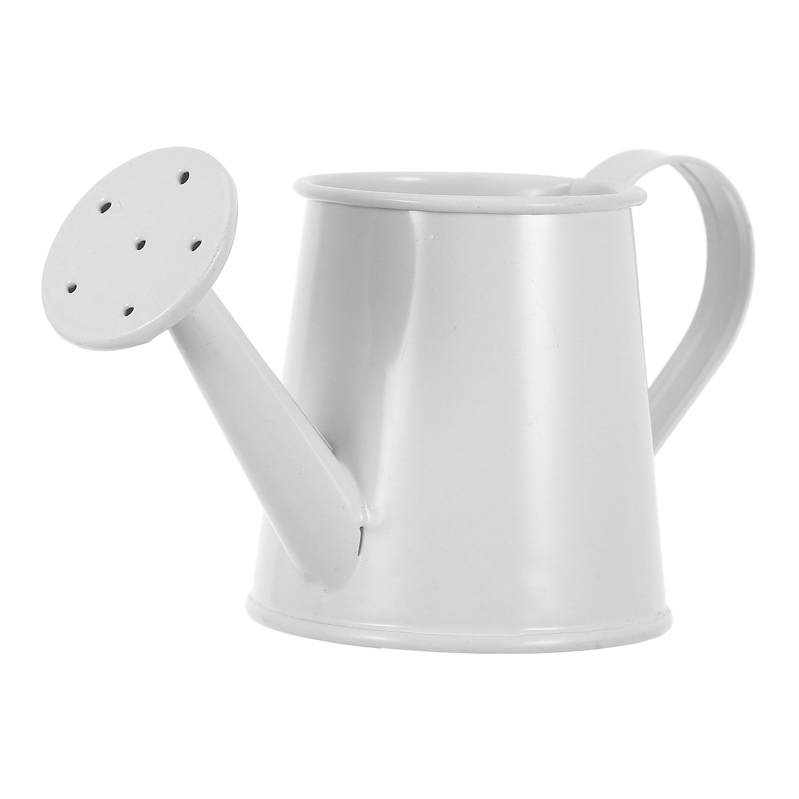 Miniature Iron Watering Can fo - Home Office With Bookshelves review and price