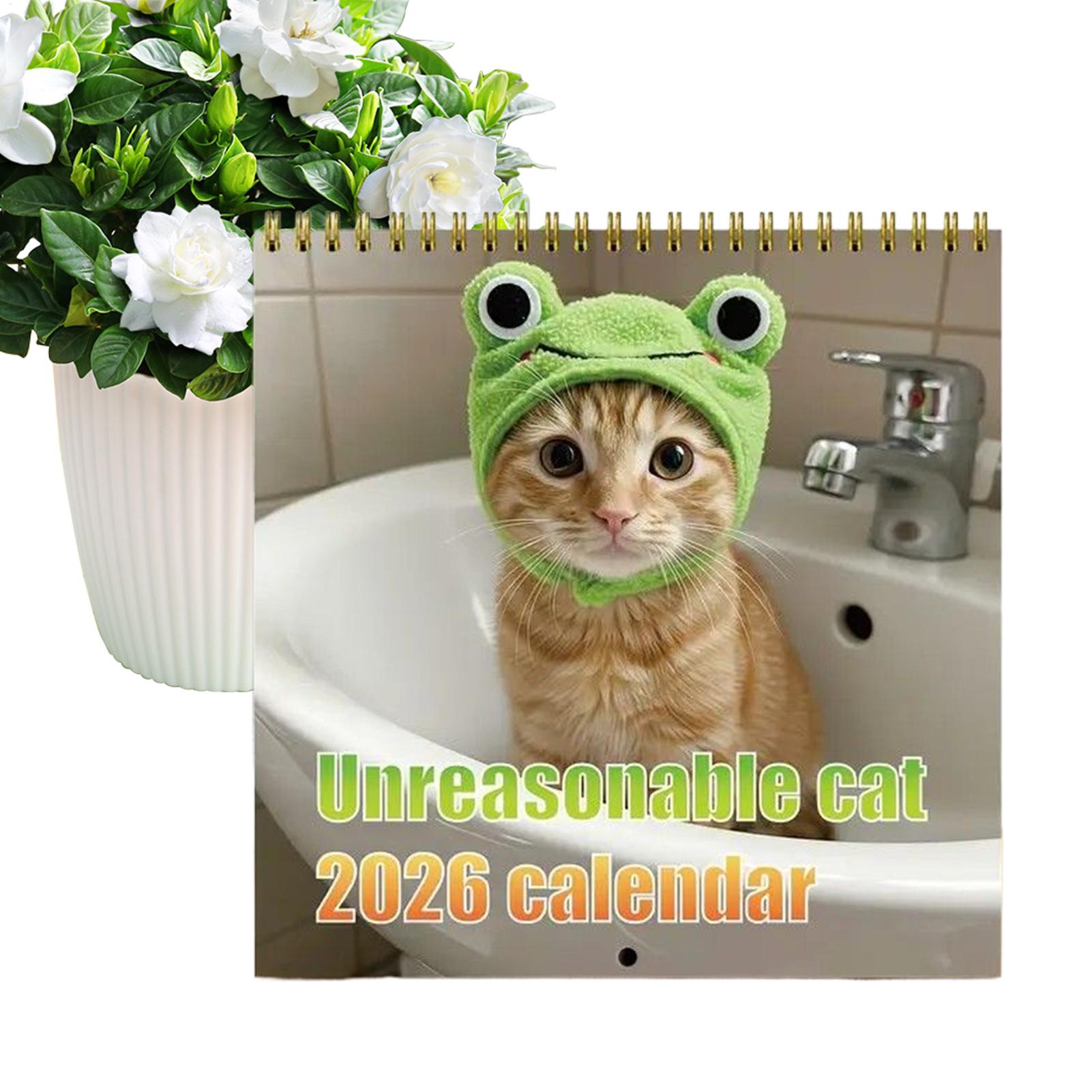 12-Month Calendar 2026 Wall Ca - Home Office Holidays 2026 review and price